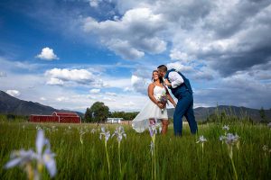 romantic photography in the meadow
