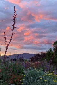 Gorgeous sunset skies over SpiriTaos Gardens, a micro-wedding venue in Taos