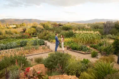 The large garden at SpiriTaos as seen from above, with a happy couple posing in the middle of it
