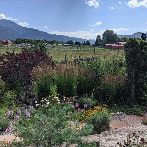 micro wedding venue