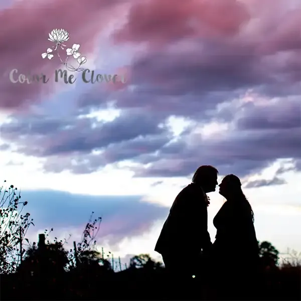 Silhouetted couple kissing at sunset