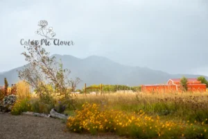 The meadow at SpiriTaos wedding venue in Taos